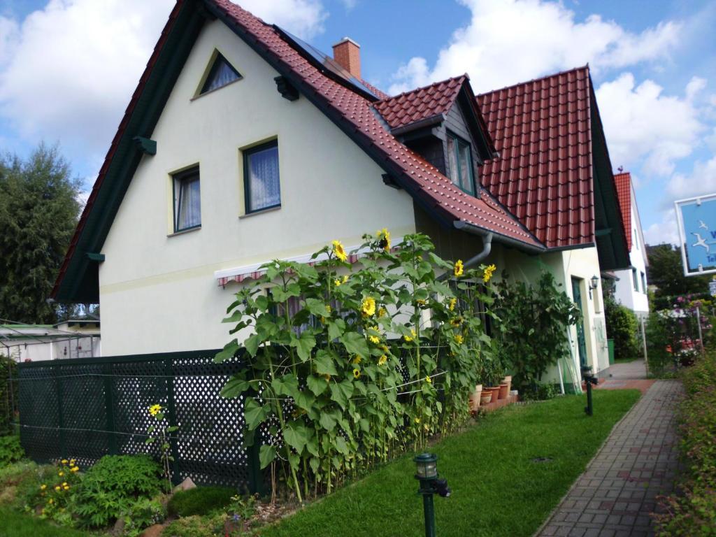 Haus Arvert Koserow Eksteriør billede